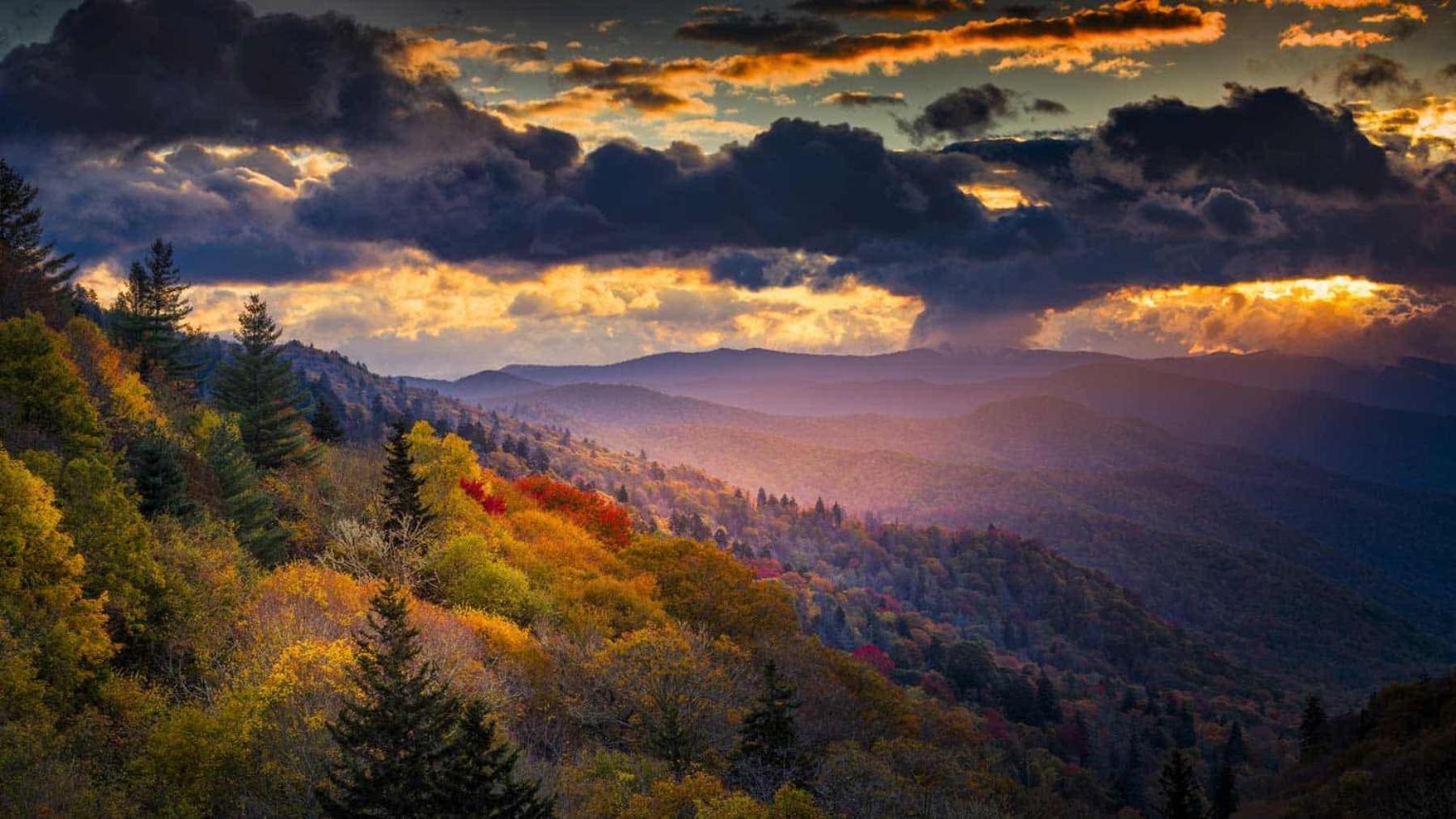 Dogwood Boutique Motel Maggie Valley Bagian luar foto